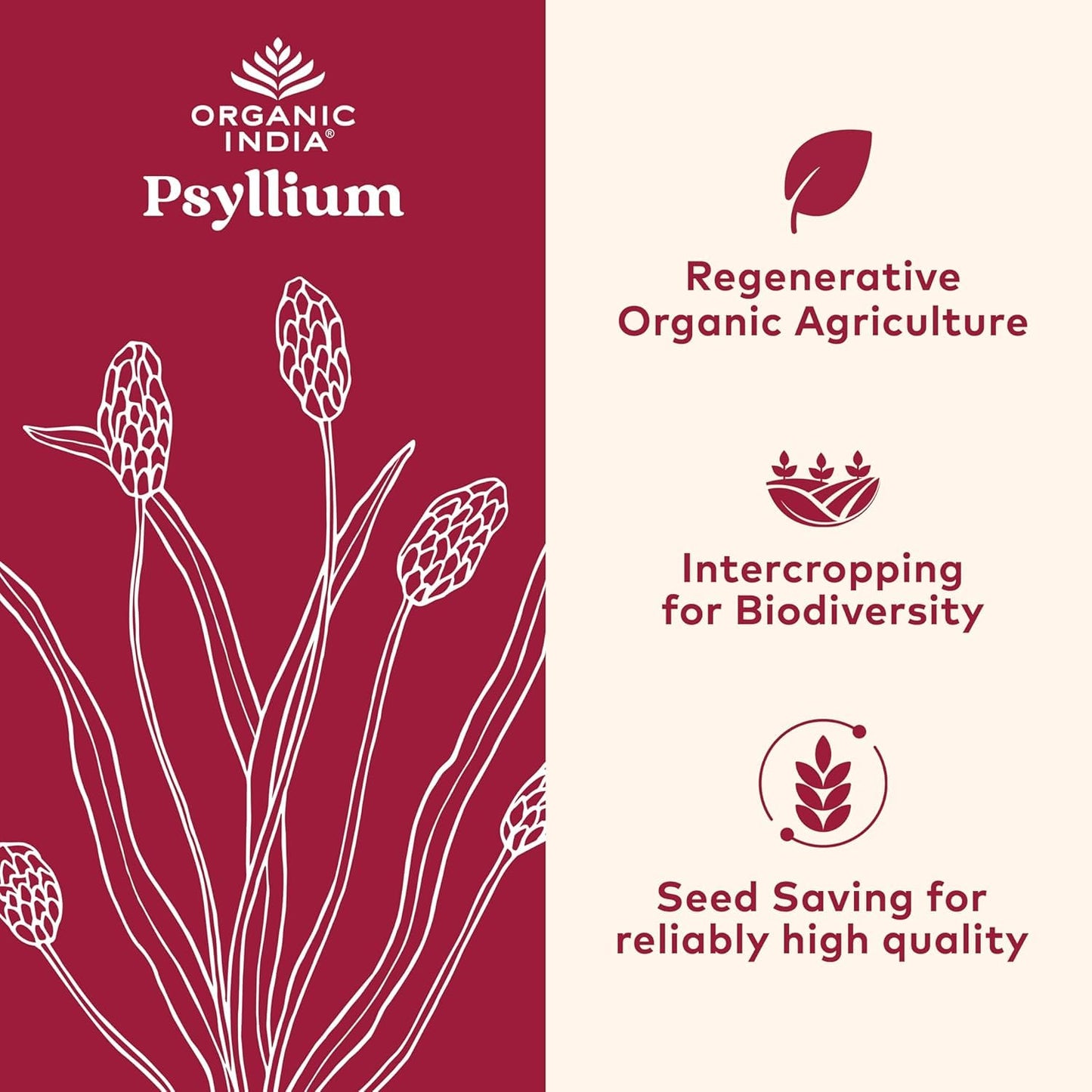 ORGANIC INDIA Psyllium Herbal Powder - Whole Husk Fiber, Vegan, Gluten-Free, USDA Certified Organic, Non-GM - Maple Wellness Supplements