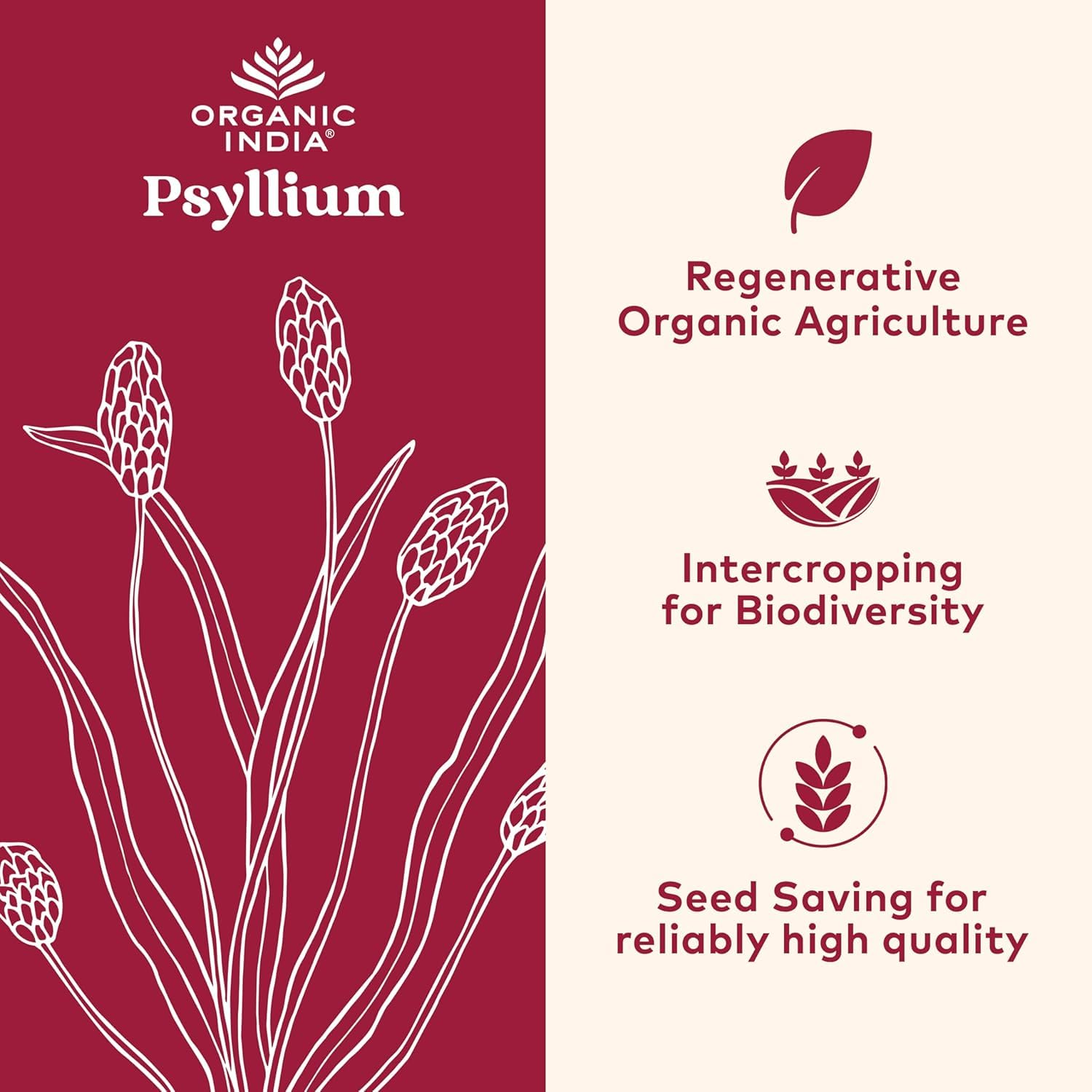 ORGANIC INDIA Psyllium Herbal Powder - Whole Husk Fiber, Vegan, Gluten-Free, USDA Certified Organic, Non-GM - Maple Wellness Supplements