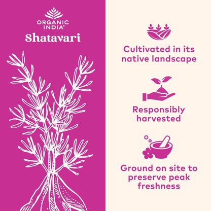 ORGANIC INDIA Shatavari Herbal Supplement - Supports Hormonal Balance, Immune and Inflammatory Response, Vegan, Gluten-Free, USDA Organic, Supports Reproductive Health - 90 Capsules - Maple Wellness Supplements