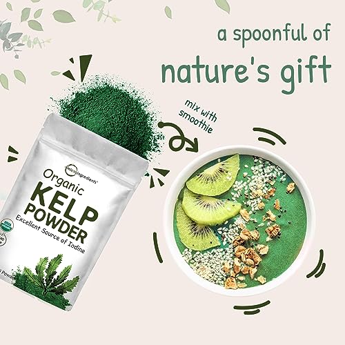 Organic Kelp Powder Supplement, 2lbs | Sustainably US Grown, Raw Ascophyllum Nodosum - Maple Wellness Supplements