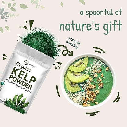 Organic Kelp Powder Supplement, 2lbs | Sustainably US Grown, Raw Ascophyllum Nodosum - Maple Wellness Supplements