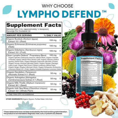 Organic Lymphatic Drainage Supplement | Lymphatic Support Drops | Burdock Root Echinacea Elderberry Dandelion Astragalus Milk Thistle Sea Moss Red Clover - Maple Wellness Supplements