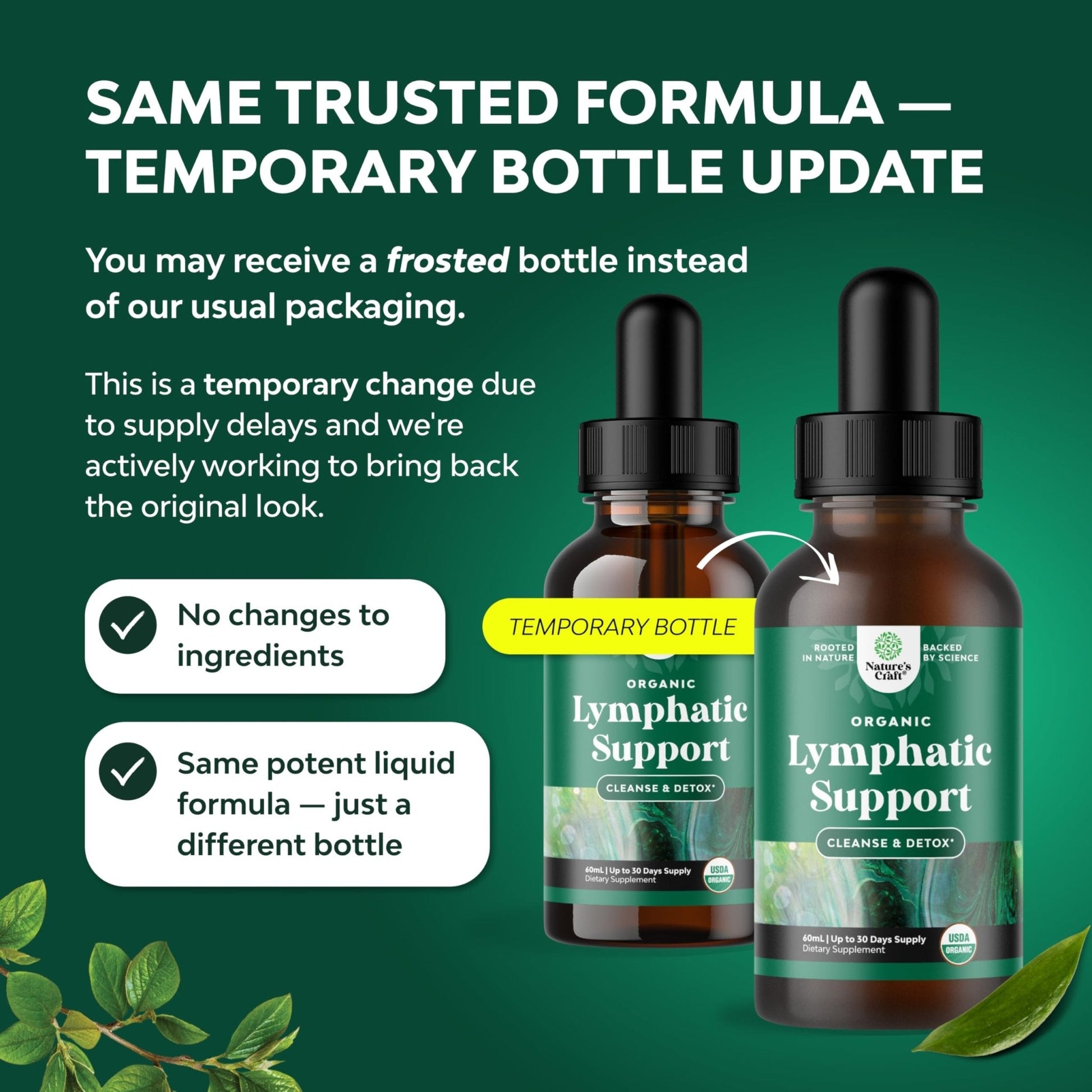 Organic Lymphatic Support Drainage Drops - Herbal Lymphatic Cleanse and Immune Support Supplement with Organic Echinacea Goldenseal & Red Clover Extract - Vegan Non GMO and Alcohol Free - 2 Fl Oz - Maple Wellness Supplements