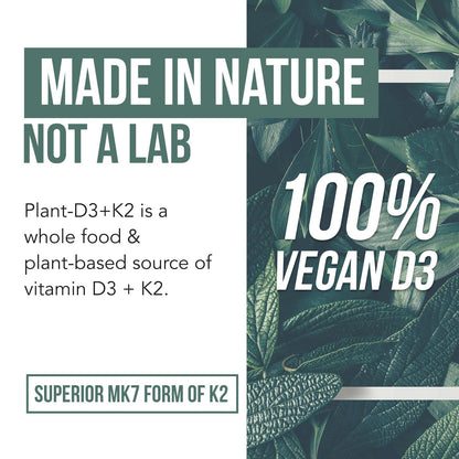 Organic Plant D3 + K2 | 5000 iu D3 + 120 mcg K2 as All-Trans MK7 from MenaQ7® - 100% Whole Food, Raw & Vegan | Enhanced Digestion with Prebiotic - Maple Wellness Supplements