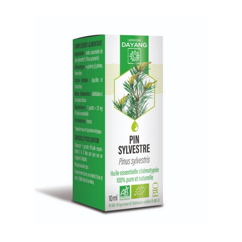 Organic Scotch Pine Essential Oil 10ml- DAYANG - Maple Wellness Supplements