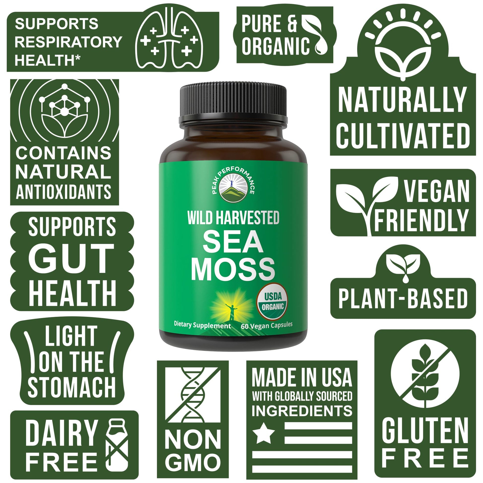 Organic Sea Moss Capsules. Wild Harvested Sea Moss Raw Organic Vegan Supplement from Red Algae Seaweed. 100% Whole Extract Raw Irish SeaMoss Superfood Pills. for Gut, Respiratory, Immune Support. - Maple Wellness Supplements