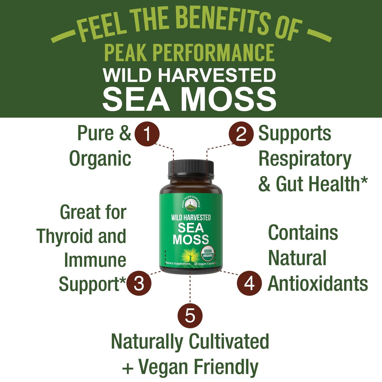 Organic Sea Moss Capsules. Wild Harvested Sea Moss Raw Organic Vegan Supplement from Red Algae Seaweed. 100% Whole Extract Raw Irish SeaMoss Superfood Pills. for Gut, Respiratory, Immune Support. - Maple Wellness Supplements