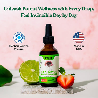 Organic Sea Moss Drops - 1000mg Irish Sea Moss - 4X Stronger than Sea Moss Gel - Maple Wellness Supplements