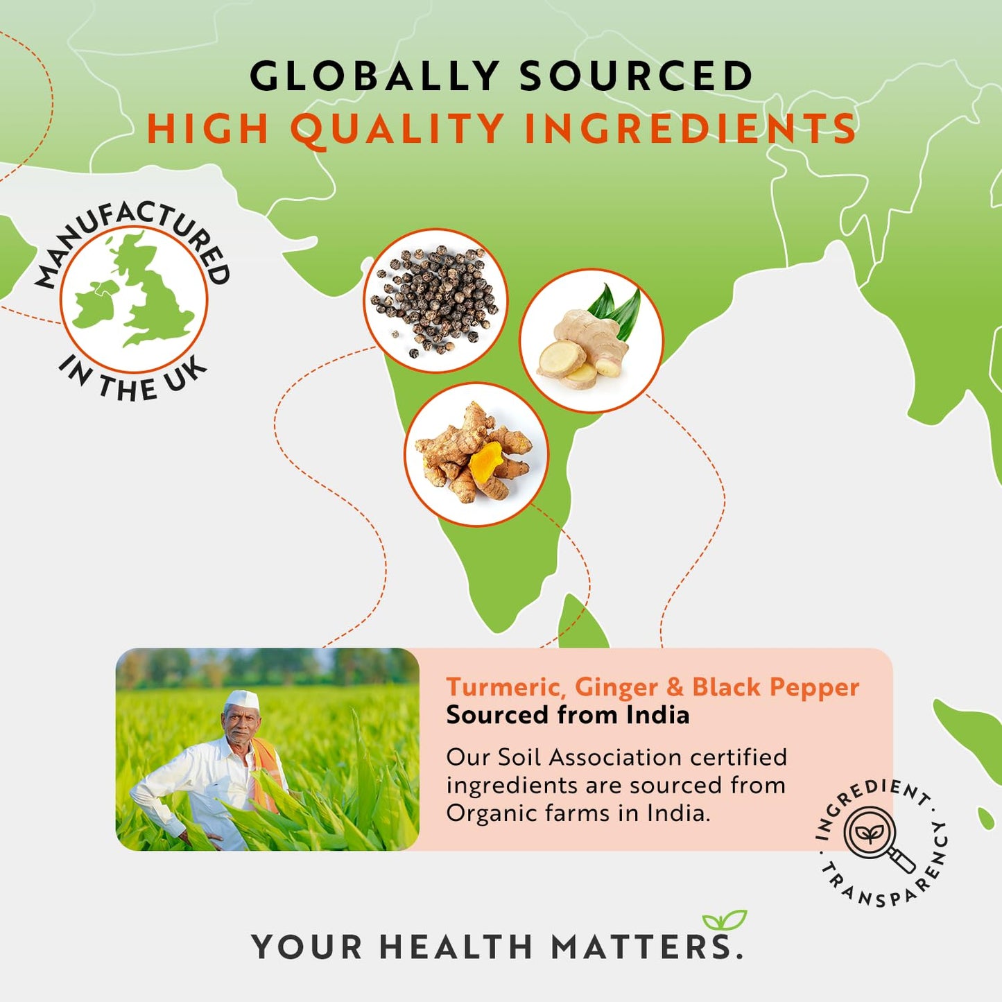 Organic Turmeric 1440mg (High Strength) with Black Pepper & Ginger - 180 Vegan Turmeric - Maple Wellness Supplements