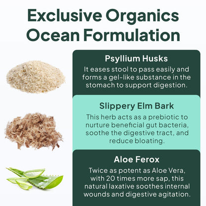 Organics Ocean Better Fiber - Daily Fiber Supplement - Soften Stool for Effortless Bowel Movements - with Psyllium Hulk and Slippery Elm - 90 Capsules - Maple Wellness Supplements