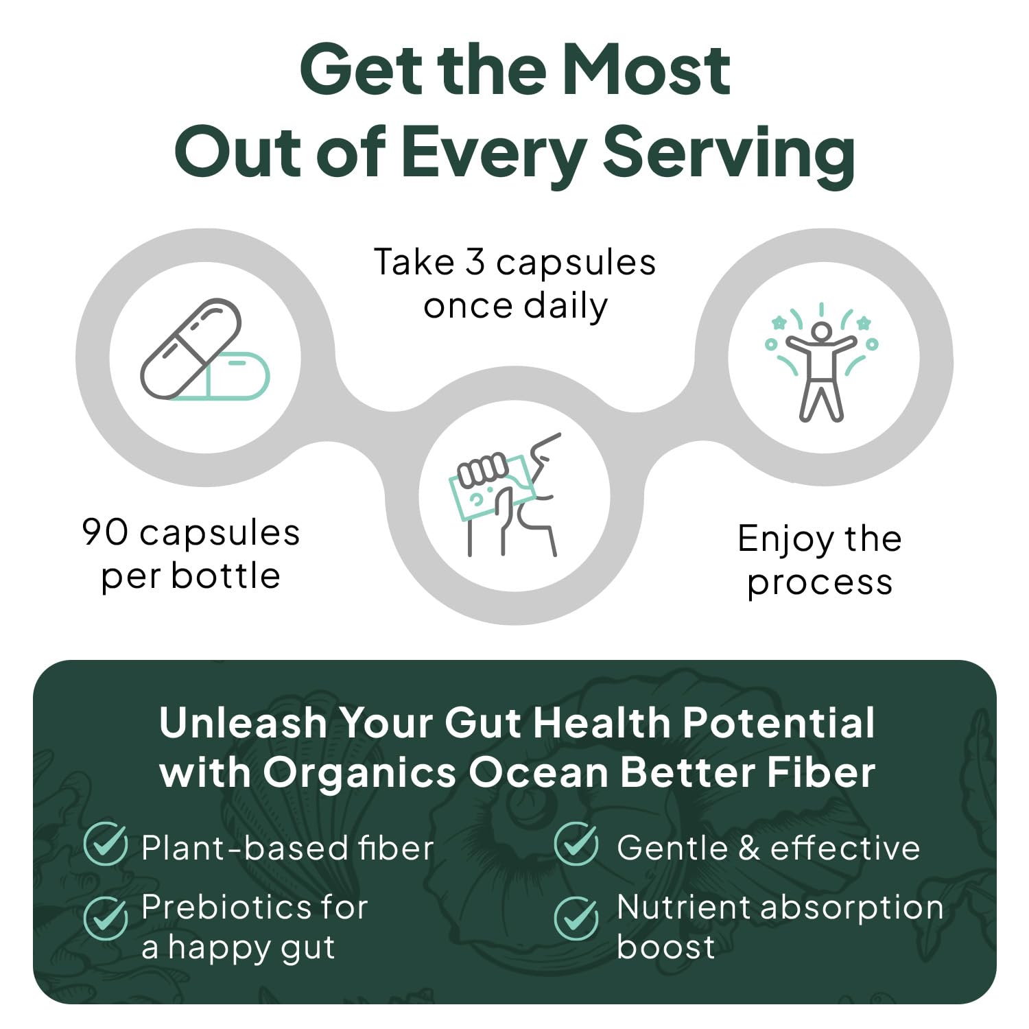 Organics Ocean Better Fiber - Daily Fiber Supplement - Soften Stool for Effortless Bowel Movements - with Psyllium Hulk and Slippery Elm - 90 Capsules - Maple Wellness Supplements