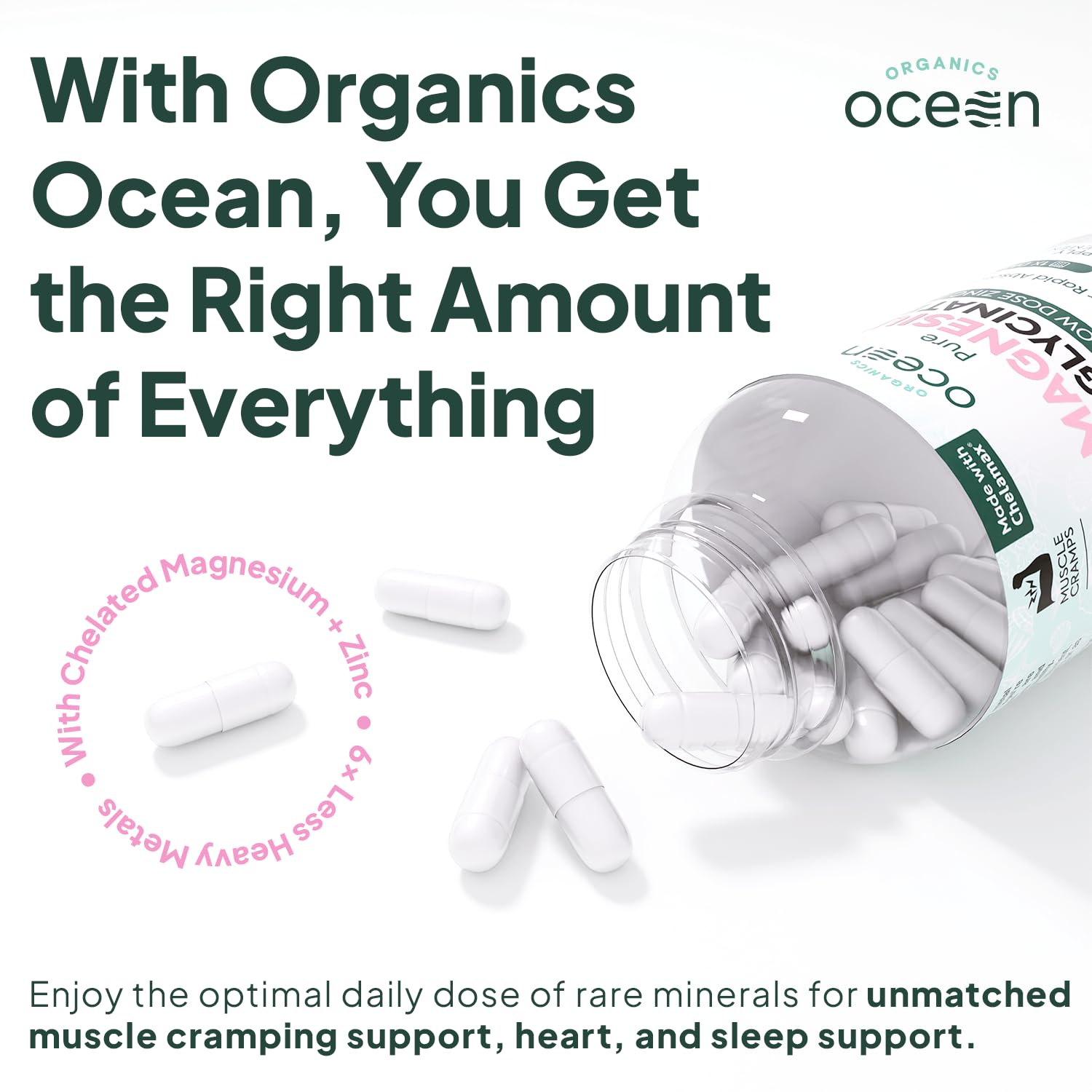 Organics Ocean Pure Magnesium Glycinate with Zinc - Maximum Strength Chelated Magnesium Supplement for Women and Men for Muscle Cramps and Sleep Support - 90 Capsule - Maple Wellness Supplements