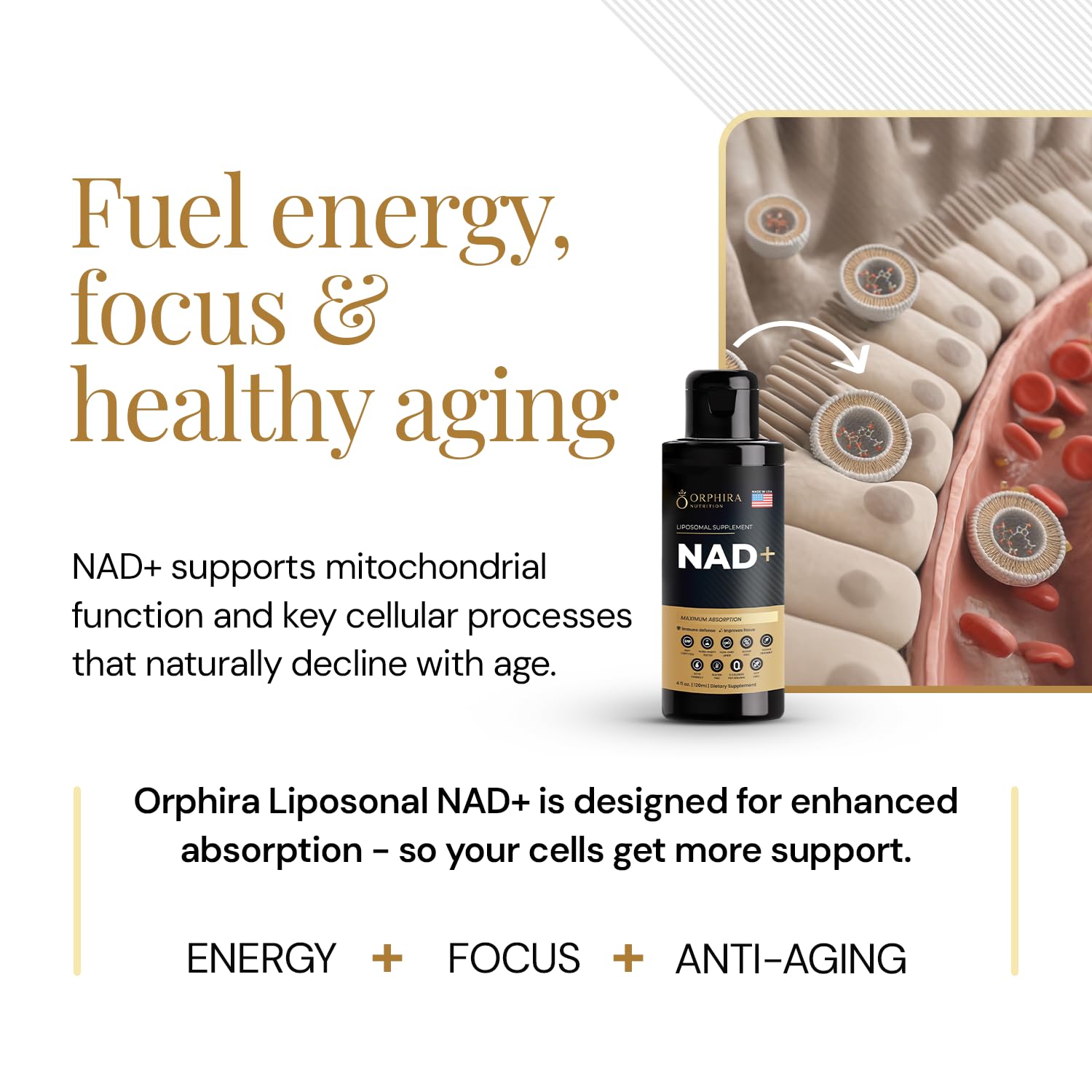 Orphira Liquid Liposomal NAD+ Supplement - 10x Better Absorption for Cellular Energy, Mental Clarity, Healthy Aging & Vitality Support - Enhanced NAD Plus, Vegan, Non-GMO - 30 Servings (4 fl oz) - Maple Wellness Supplements