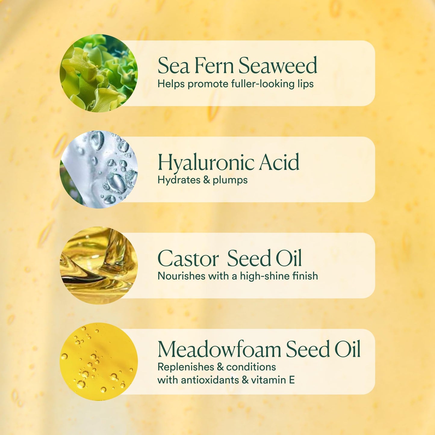 OSEA Hyaluronic Lip Oil Booster – Clean Beauty Lip Oil for Plump, Glossy, Hydrated Lips – Nourishing Seaweed & Meadowfoam Oil – Vegan, Non-Sticky, High-Shine Finish - Maple Wellness Supplements