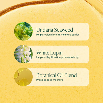 OSEA Undaria Algae Body Oil 5 oz – Visibly Firming, Deeply Moisturizing, Instantly Improve Elasticity - Maple Wellness Supplements