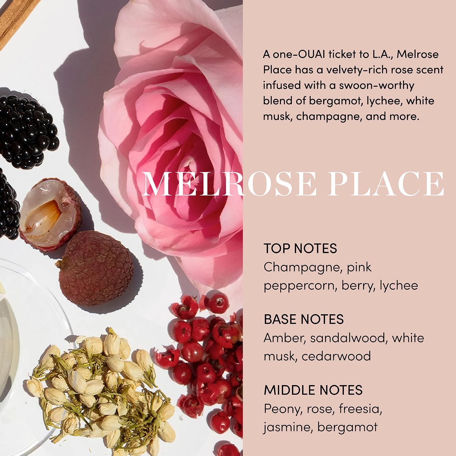 OUAI Body Cream, Melrose Place - Hydrating Whipped Body Cream with Cupuaçu Butter, Coconut Oil and Squalane - Softens Skin and Delivers Healthy-Looking Glow - Sulfate Free Skin Care (7.5 Oz) - Maple Wellness Supplements