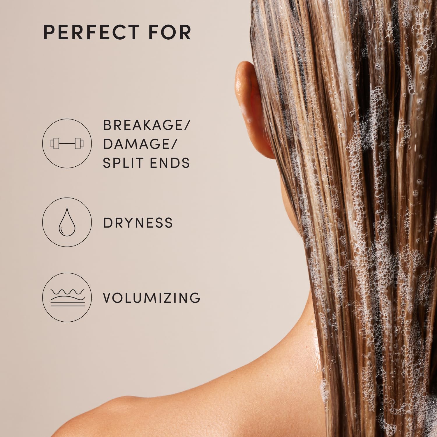 OUAI Fine Hair Shampoo - Volumizing Shampoo for Fine, Flat Strands - Made with Biotin, Keratin & Chia Seed Oil - Strengthens, Nourishes & Thickens - Color-Safe & Sulfate Free Hair Care (10 Fl oz) - Maple Wellness Supplements