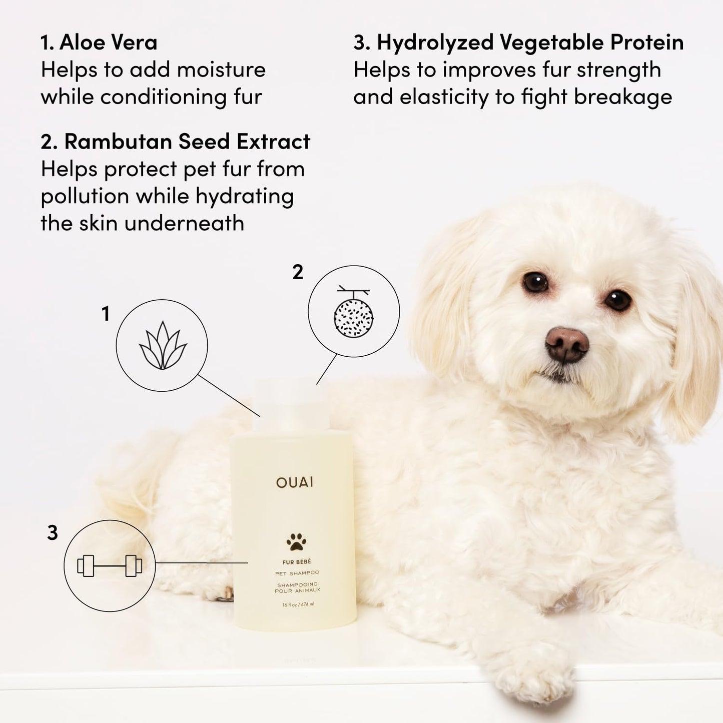 OUAI Fur Bébé Pet Shampoo, Mercer Street Scent - Dog Shampoo and Coat Wash for Hydrating, Cleansing and Adding Shine - Pet Supplies by OUAI (16 Fl Oz) - Maple Wellness Supplements