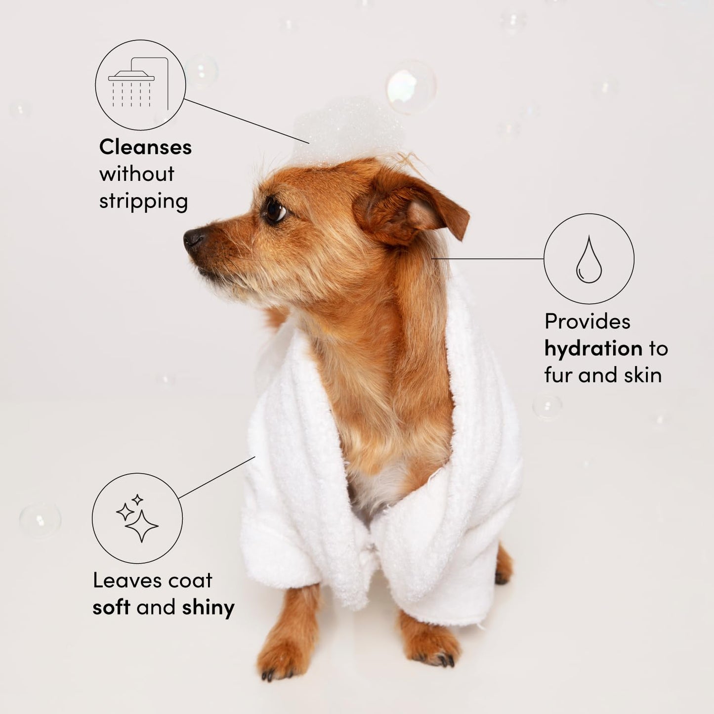 OUAI Fur Bébé Pet Shampoo, Mercer Street Scent - Dog Shampoo and Coat Wash for Hydrating, Cleansing and Adding Shine - Pet Supplies by OUAI (16 Fl Oz) - Maple Wellness Supplements