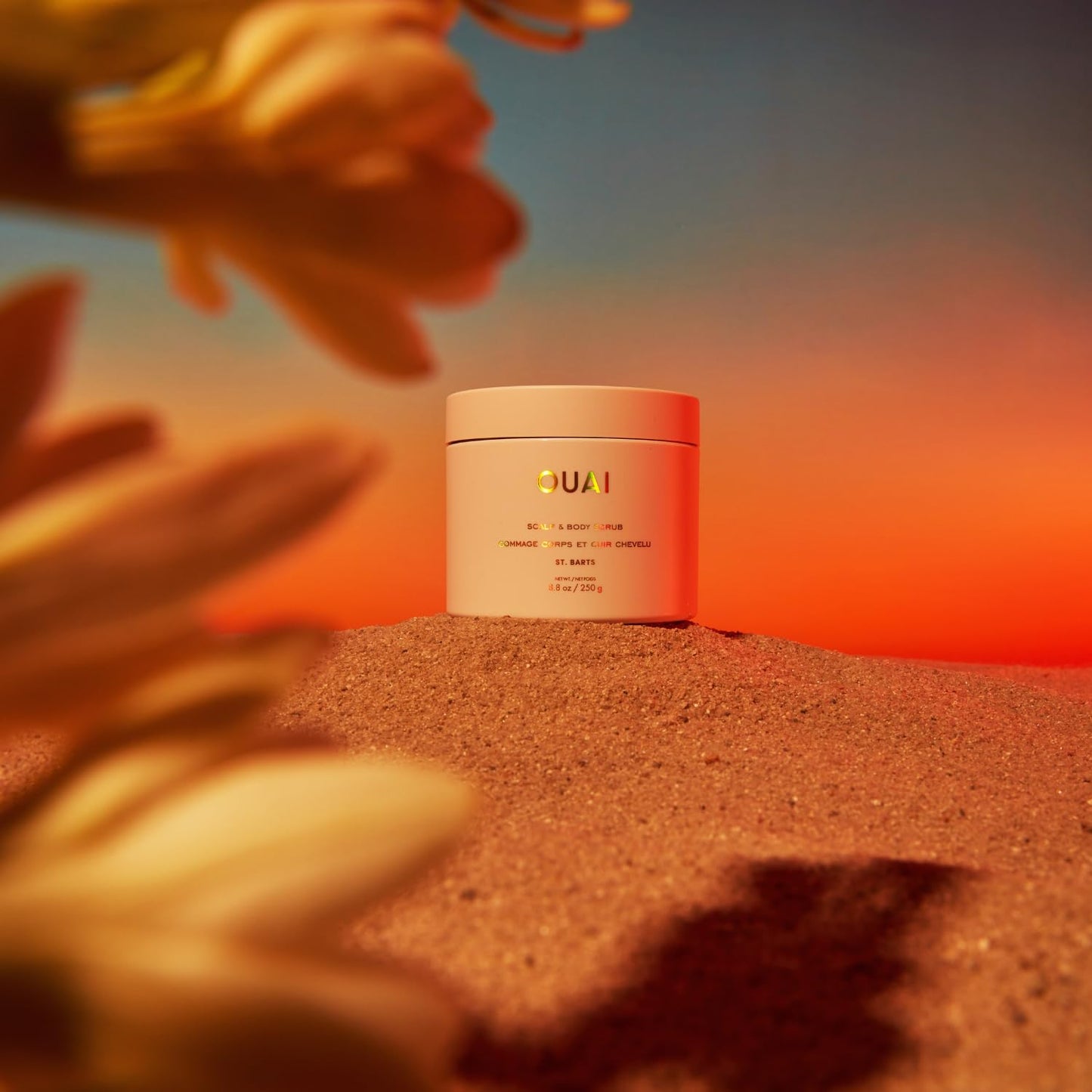 OUAI Scalp & Body Scrub, St. Barts - Exfoliating Body Scrub with Sugar & Coconut Oil Blend for Smooth, Moisturized Skin - Gentle Scalp Exfoliator for Removing Product Build Up (8.8 Oz) - Maple Wellness Supplements