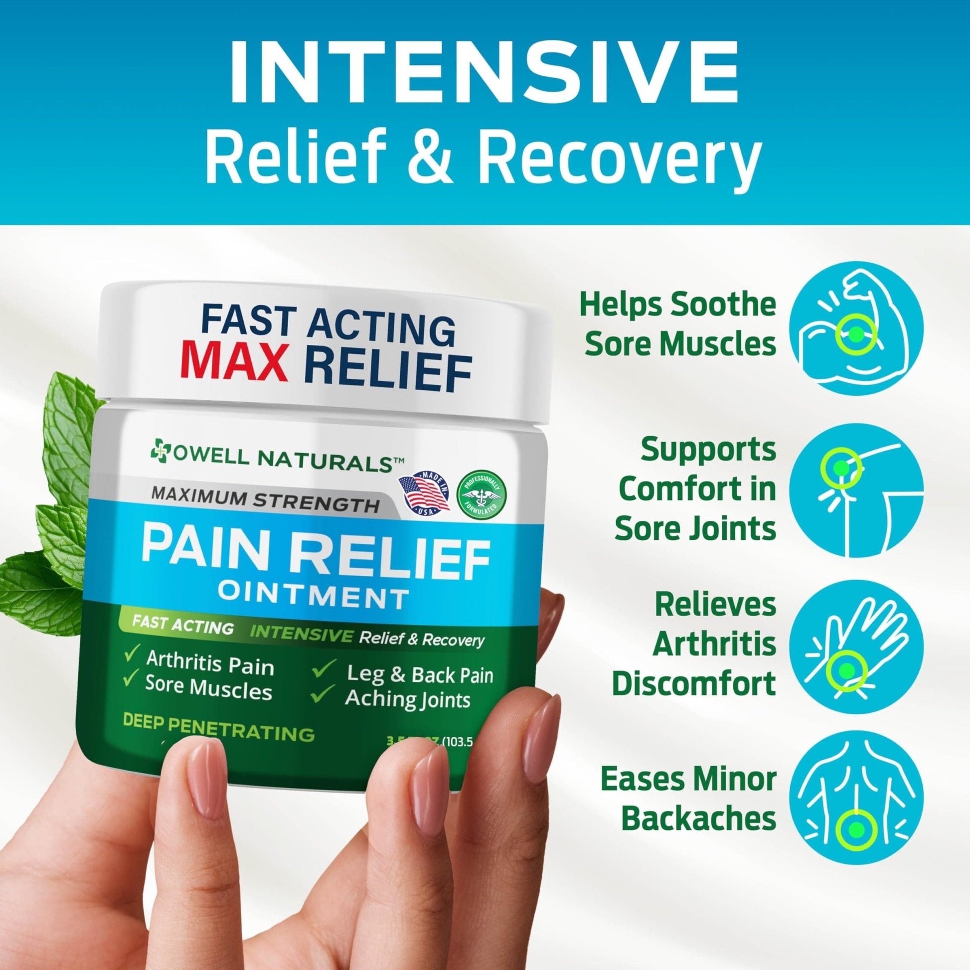 OWELL NATURALS Arthritis Pain Relief Ointment with Arnica & MSM – Deep Penetrating Joint & Muscle Therapy for Knee, Back, Sore Muscles, Legs, 3.5 oz (2 Pack) - Maple Wellness Supplements