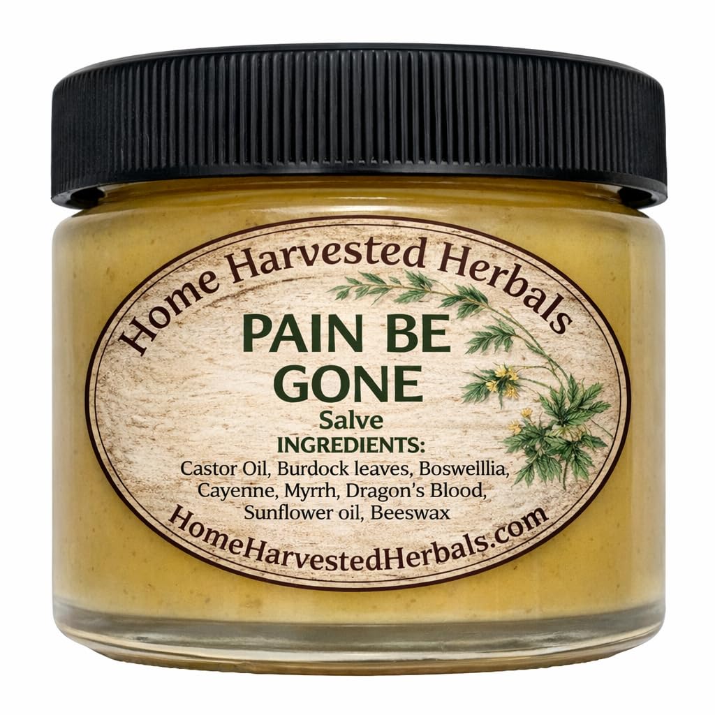 Pain Relief Herbal Salve – 2 oz – Home Harvested Herbals – Natural Relief for Aches, Muscles & Joint Discomfort - Maple Wellness Supplements