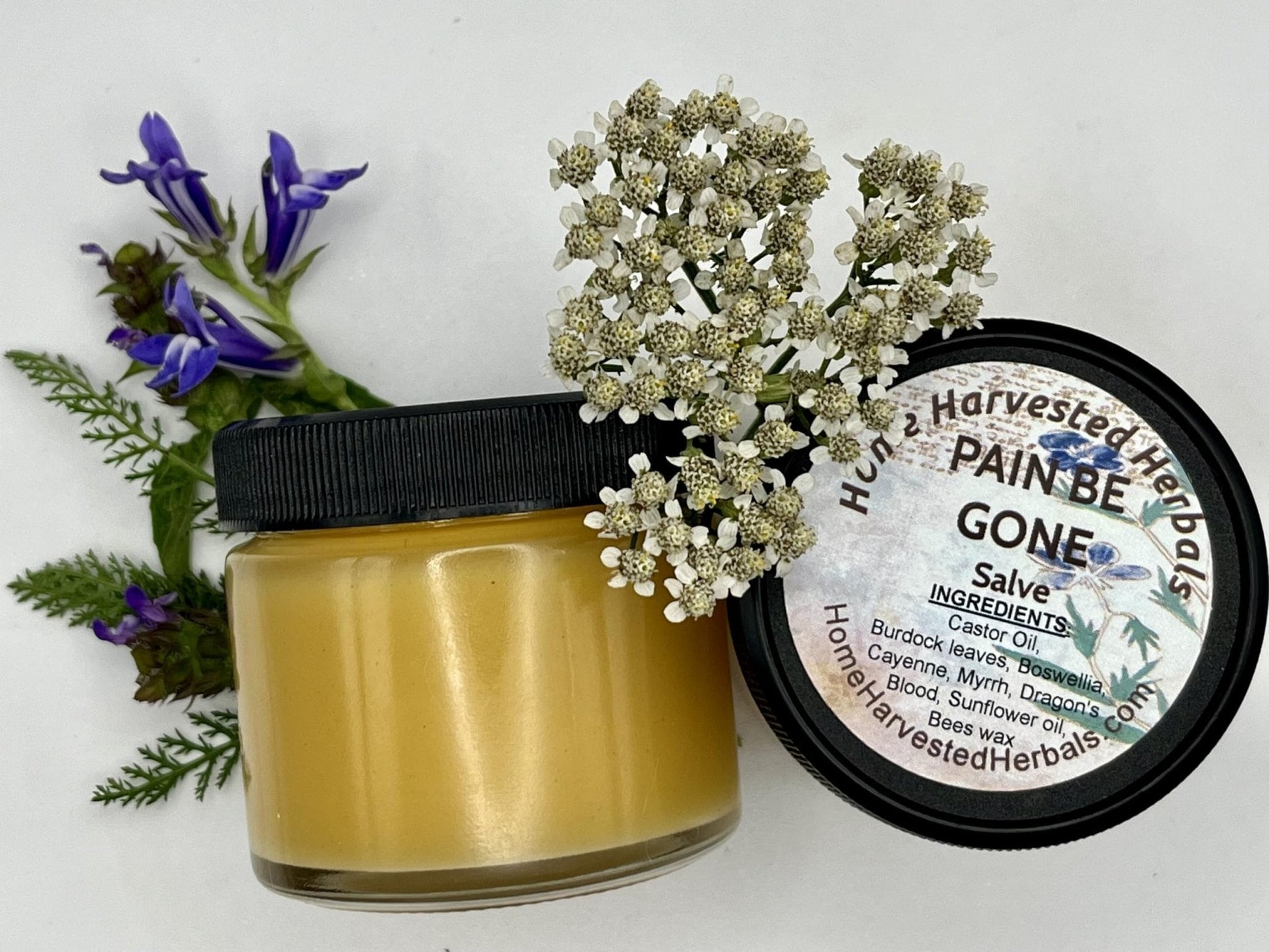 Pain Relief Herbal Salve – 2 oz – Home Harvested Herbals – Natural Relief for Aches, Muscles & Joint Discomfort - Maple Wellness Supplements