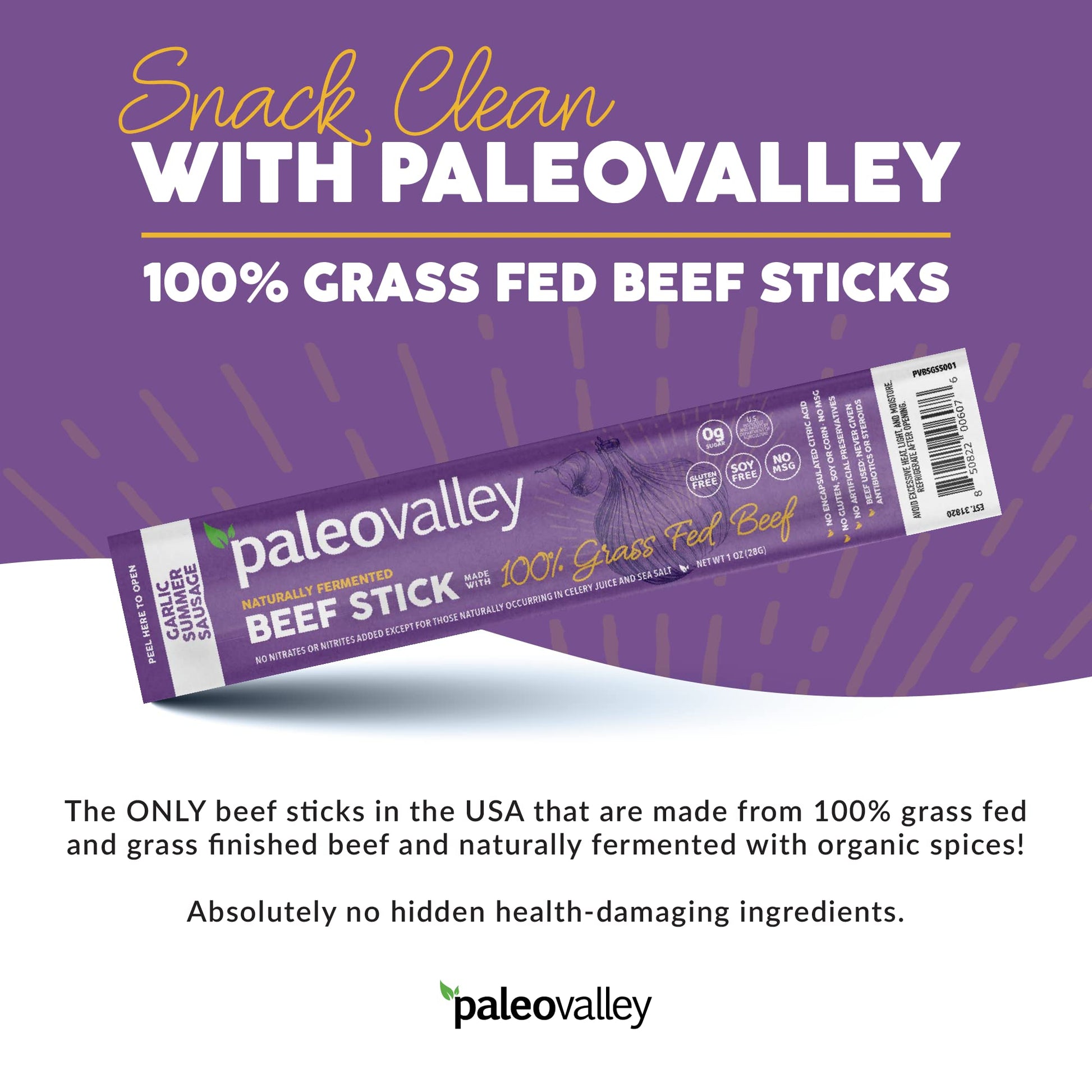 Paleovalley 100% Grass Fed Garlic Summer Sausage Beef Sticks - Delicious Gluten Free Beef Snack - High Protein Keto Friendly - Maple Wellness Supplements