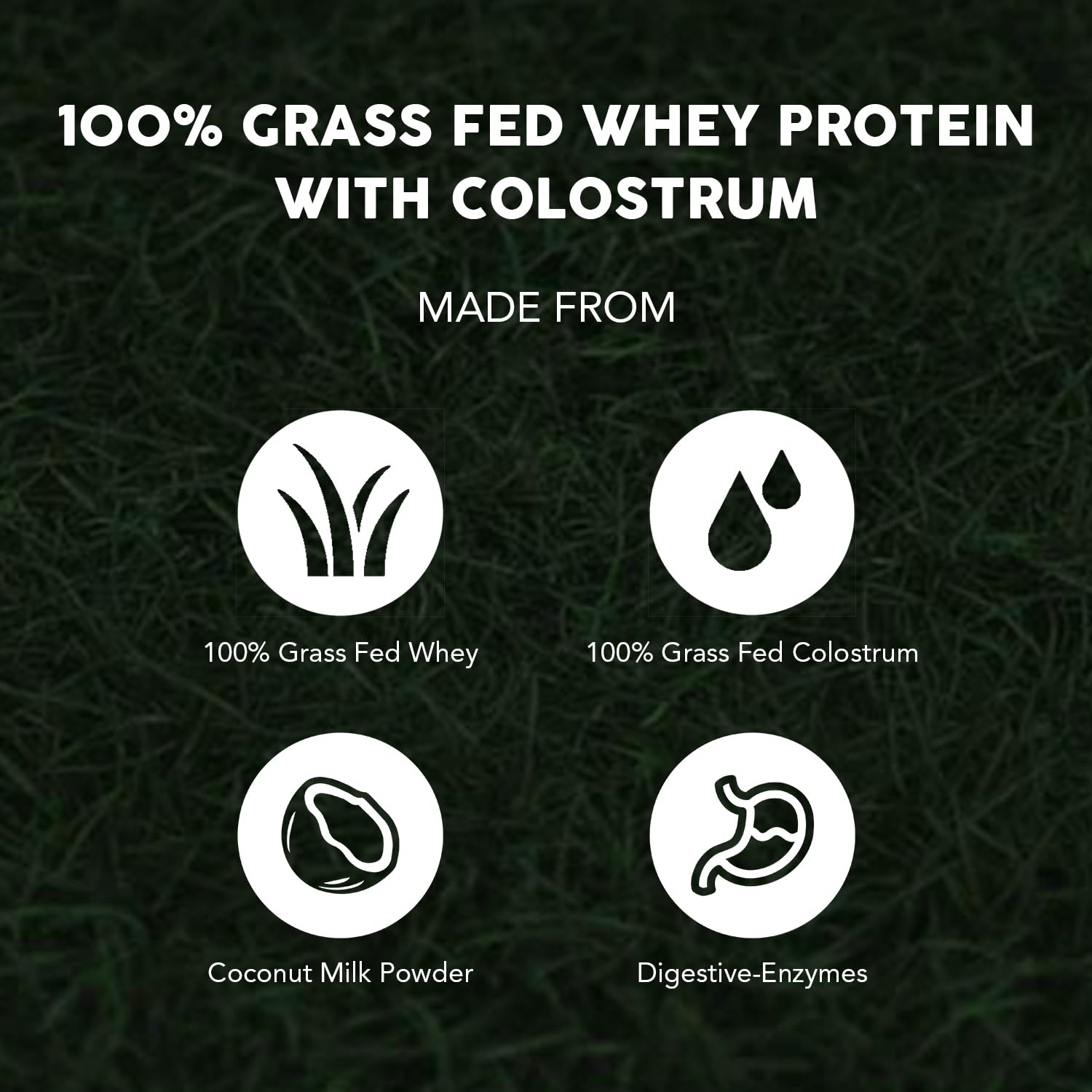 Paleovalley 100% Grassfed Whey Protein Powder with Colostrum, 30 Serving - Vanilla, 13g Protein, Muscle Building, Immune Support, Gut Health - Maple Wellness Supplements