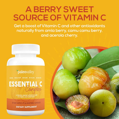 Paleovalley Essential C Complex - Vitamin C Supplement for Immune Support - 1 Pack, 450mg - Organic Superfoods Unripe Acerola Cherry, Camu Camu, Amla Berry - Maple Wellness Supplements