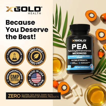 Palmitoylethanolamide Pea Supplement 600 mg | Micronized Pea 99% Highly Purified and Bioavailable | Made in USA | Supplement for Men and Women - 120 Capsules - Maple Wellness Supplements