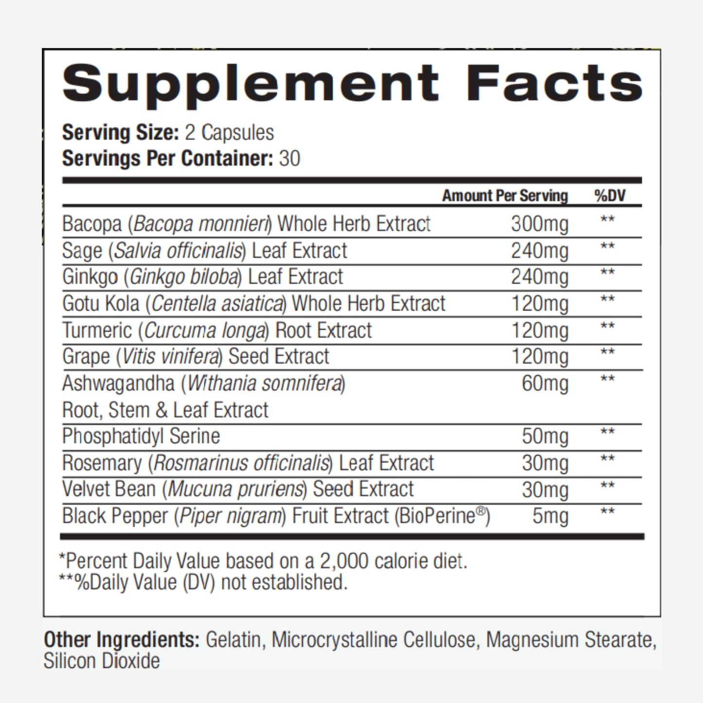 PALO Focus Brain Booster Natural Supplement Nootropic for Memory, Focus, Learning, Reall, Attention and Cognition - Ginkgo Biloba, Bacopa, Gotu Kola, Ashwagandha, Mucuna 60 Capsules - Maple Wellness Supplements