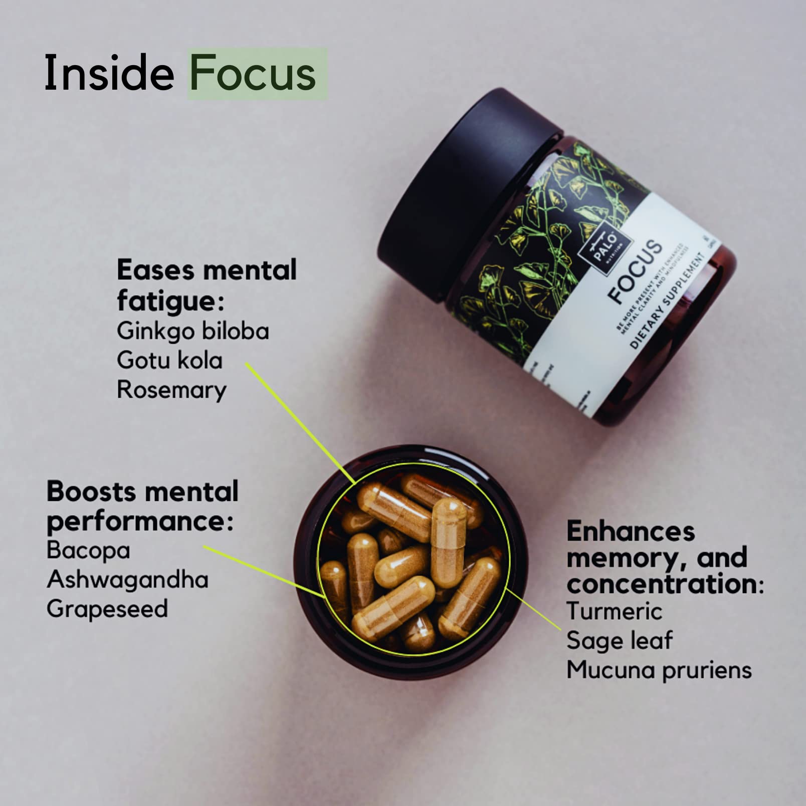 PALO Focus Brain Booster Natural Supplement Nootropic for Memory, Focus, Learning, Reall, Attention and Cognition - Ginkgo Biloba, Bacopa, Gotu Kola, Ashwagandha, Mucuna 60 Capsules - Maple Wellness Supplements