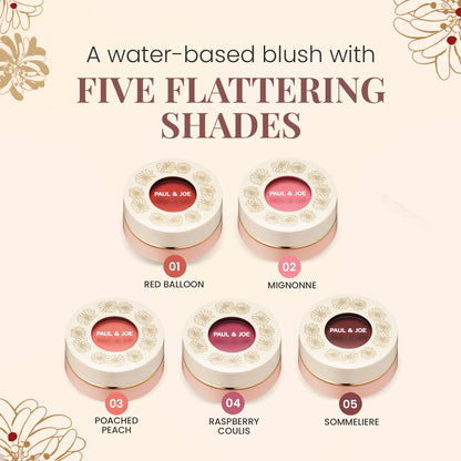 Paul & Joe Gel Blush, Bright and Buildable Blush Makeup, Water-Based Gel Makeup Blush with Hydrating Oils for Dewy, Radiant Finish, Garnet and Wine Red Cheek Tint, 05 Sommeliere, 0.71 oz - Maple Wellness Supplements
