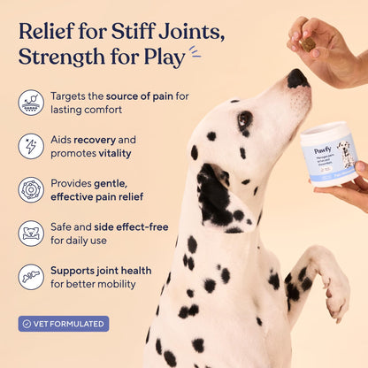 Pawfy Advanced Pain Management - Essential Vitamins & Supplements with Omega 3 |Joint Supplement for Dogs - Supports Hip & Joint Health for Small, Medium, Large Breeds | 30 Fast-Acting Chews - Maple Wellness Supplements