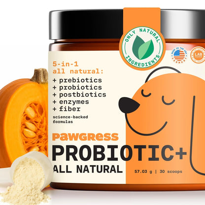Pawgress 5-in-1 Dog Probiotic Powder – 100% Natural Gut Health Support with Prebiotics, Postbiotics & Enzymes - Made in USA – 30 Scoops - Maple Wellness Supplements