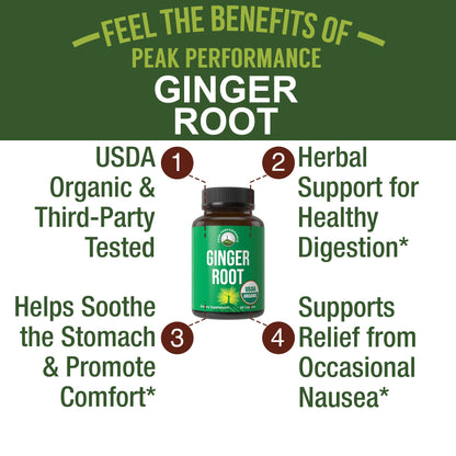 Peak Performance USDA Organic Ginger Root Capsules. Vegan Ginger Pills Supplement for Women & Men to Support Digestion, Occasional Nausea Relief, Gas & Bloat Support, and Gentle Stomach Comfort - Maple Wellness Supplements