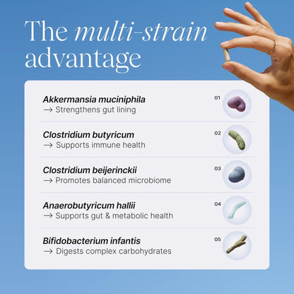 Pendulum Metabolic Daily - Multi-Strain Probiotic with Akkermansia muciniphila to Support Metabolism and Sustain Energy Levels - Maple Wellness Supplements