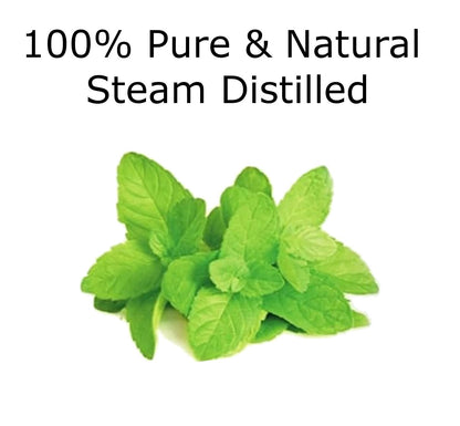Peppermint Essential Oil 4 oz. with Huge Glass Bottle, Glass Dropper, and Sprayer. Detailed User's Guide E-Book - Maple Wellness Supplements