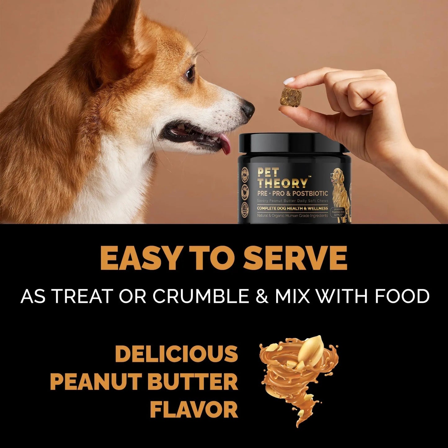 Pet Theory Probiotics for Dogs. Dog Digestive Health-Pre Pro and Postbiotic Combination-Pet Supplements for Gut Health-Supports Digestion, Boost Immunity-100CT Soft Chews - Maple Wellness Supplements
