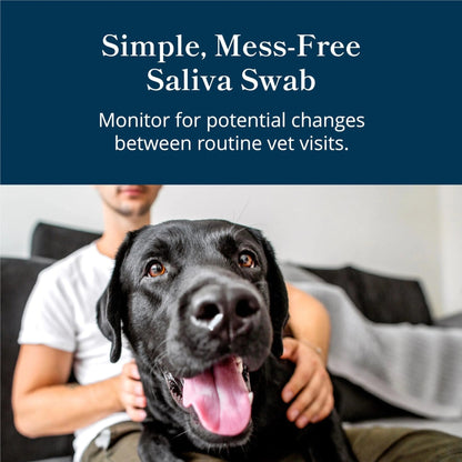 Petivity At-Home Kidney Health Test Kit for Dogs — Quick Saliva Urea Test (2-Minute Home Check), Powered by Purina — Help Detect Early Kidney Changes - (Pack of 3) - Maple Wellness Supplements