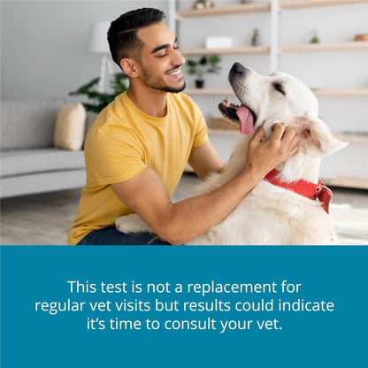 Petivity At-Home Oral Health Test for Cats & Dogs — 10-Second Dental Check Kit by Purina — Simple Saliva Swab to Detect Bad Breath & Gum Issues - (Pack of 1) - Maple Wellness Supplements