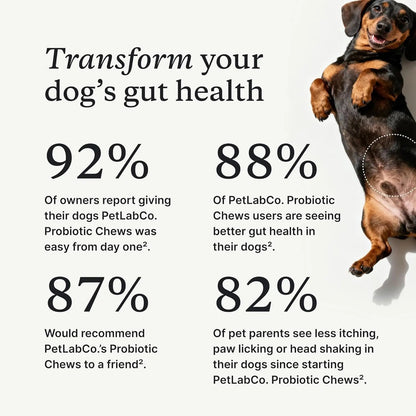 PetLab Co. Probiotics for Dogs, Support Gut Health, Occasional Diarrhea, Digestive Health & Seasonal Allergies - Salmon Flavor - Packaging May Vary - 30 Soft Chews - Maple Wellness Supplements