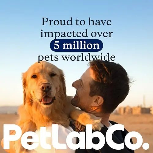PetLab Co. Probiotics for Dogs, Support Gut Health, Occasional Diarrhea, Digestive Health & Seasonal Allergies - Salmon Flavor - Packaging May Vary - 30 Soft Chews - Maple Wellness Supplements