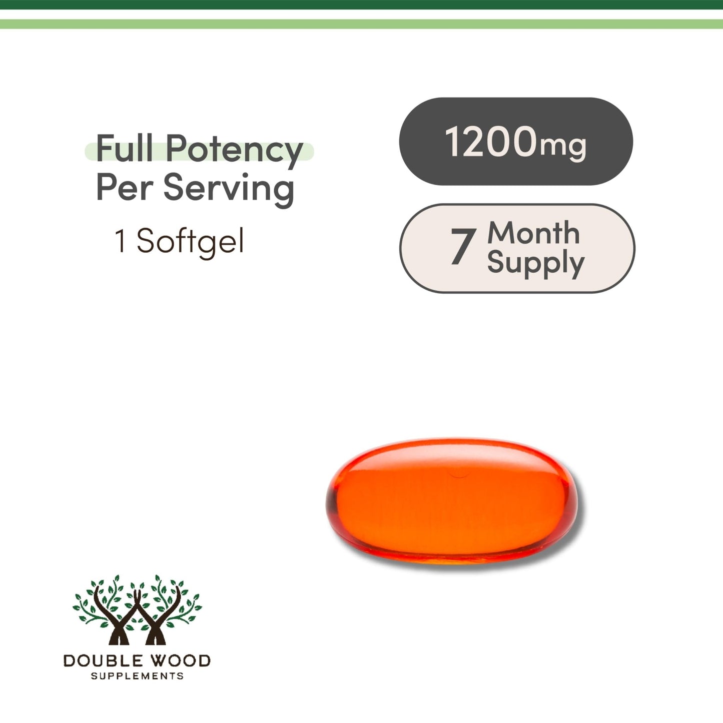 Phosphatidylcholine 1,200mg – 210 Softgels – Enhanced Version of Sunflower and Soy Lecithin (Choline Supplements) - Non-GMO and Gluten Free - Maple Wellness Supplements