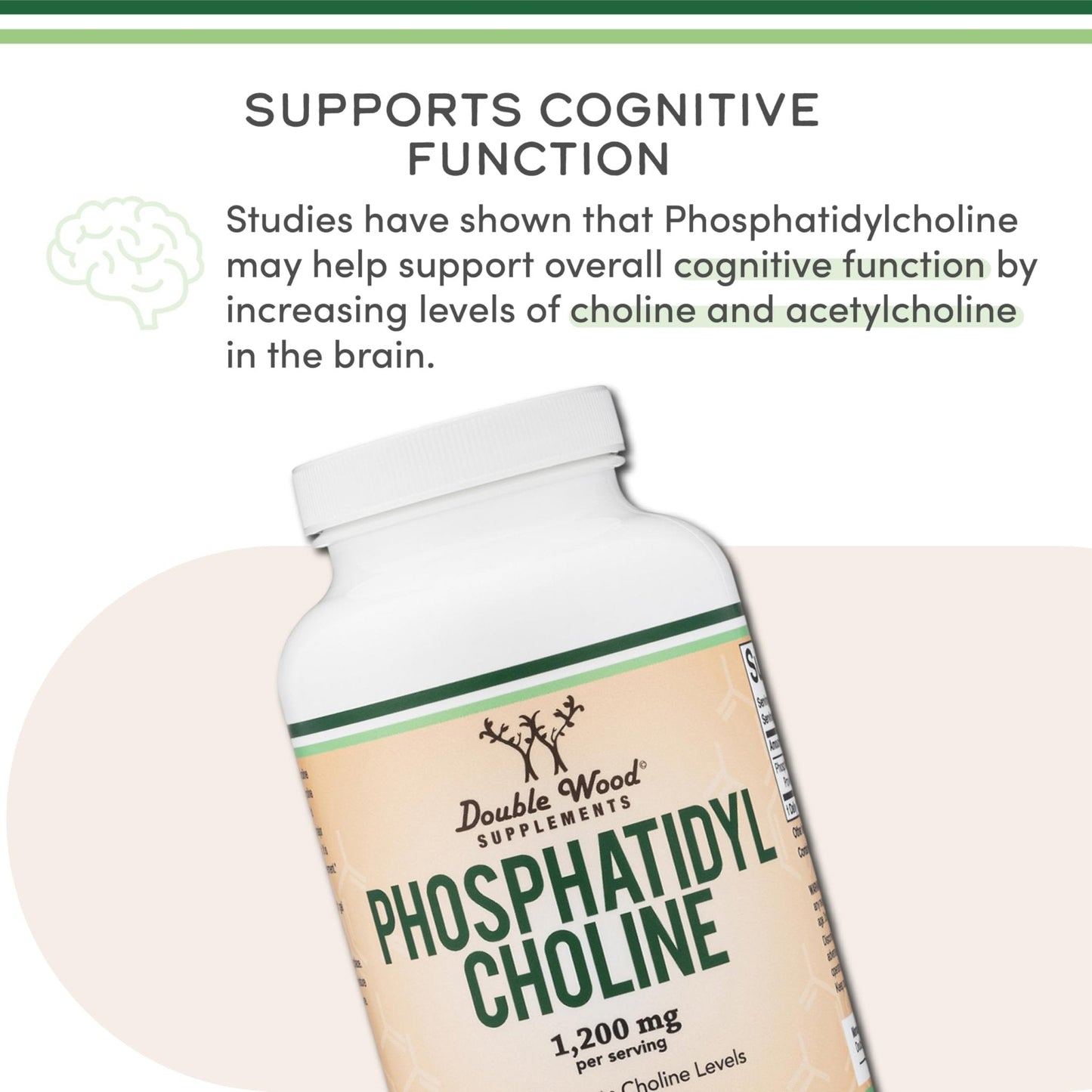 Phosphatidylcholine 1,200mg – 210 Softgels – Enhanced Version of Sunflower and Soy Lecithin (Choline Supplements) - Non-GMO and Gluten Free - Maple Wellness Supplements