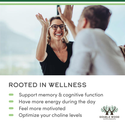 Phosphatidylcholine 1,200mg – 210 Softgels – Enhanced Version of Sunflower and Soy Lecithin (Choline Supplements) - Non-GMO and Gluten Free - Maple Wellness Supplements