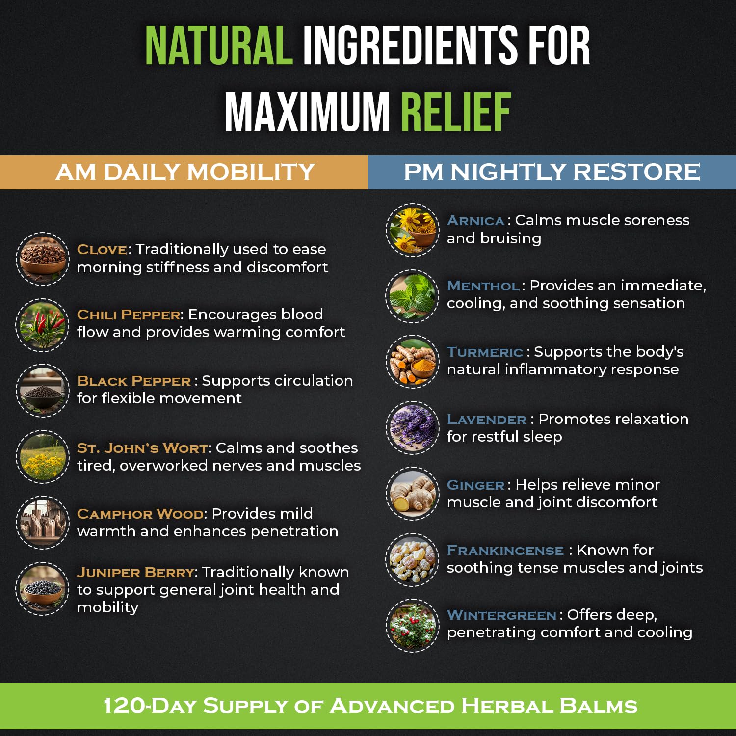 PHYTEWELL Muscle & Joint Rub Balm - Day & Night Pain Relief for Back, Knee, & Shoulder - Crafted with Arnica, Clove & Black Pepper to Support Recovery & Relaxation – Premium Non-Greasy Texture - Maple Wellness Supplements