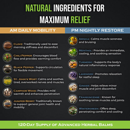 PHYTEWELL Muscle & Joint Rub Balm - Day & Night Pain Relief for Back, Knee, & Shoulder - Crafted with Arnica, Clove & Black Pepper to Support Recovery & Relaxation – Premium Non-Greasy Texture - Maple Wellness Supplements