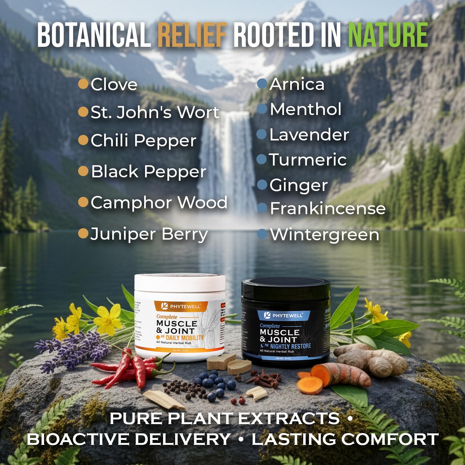 PHYTEWELL Muscle & Joint Rub Balm - Day & Night Pain Relief for Back, Knee, & Shoulder - Crafted with Arnica, Clove & Black Pepper to Support Recovery & Relaxation – Premium Non-Greasy Texture - Maple Wellness Supplements